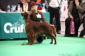 Crufts2011 635